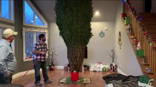 better than the NY Christmas tree in Time Square!!!.mp4