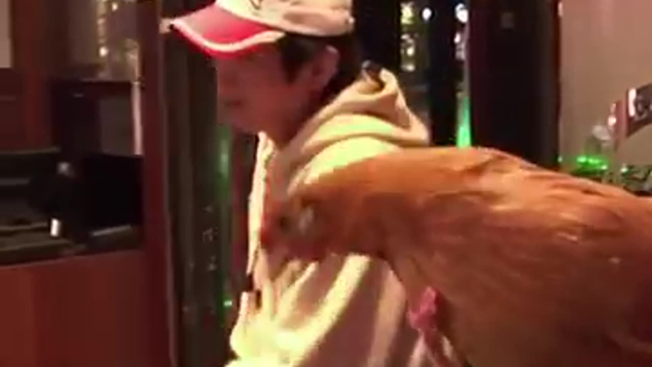 He didn't know it was a chicken restaurant 🥺 #shorts