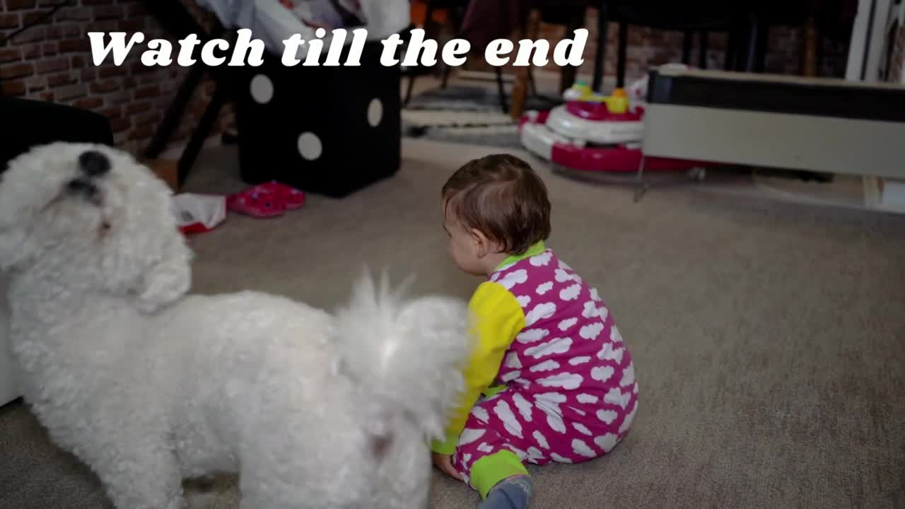 Lets play#baby#puppy