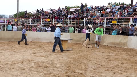 Bandera Ham Rodeo - Porkster