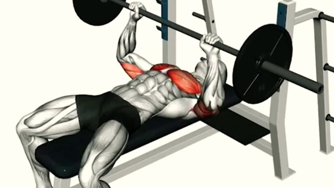 Best Chest Workouts