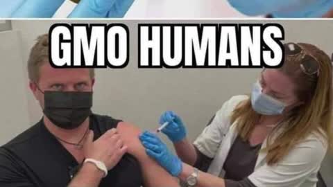 GMO Foods GMO Humans