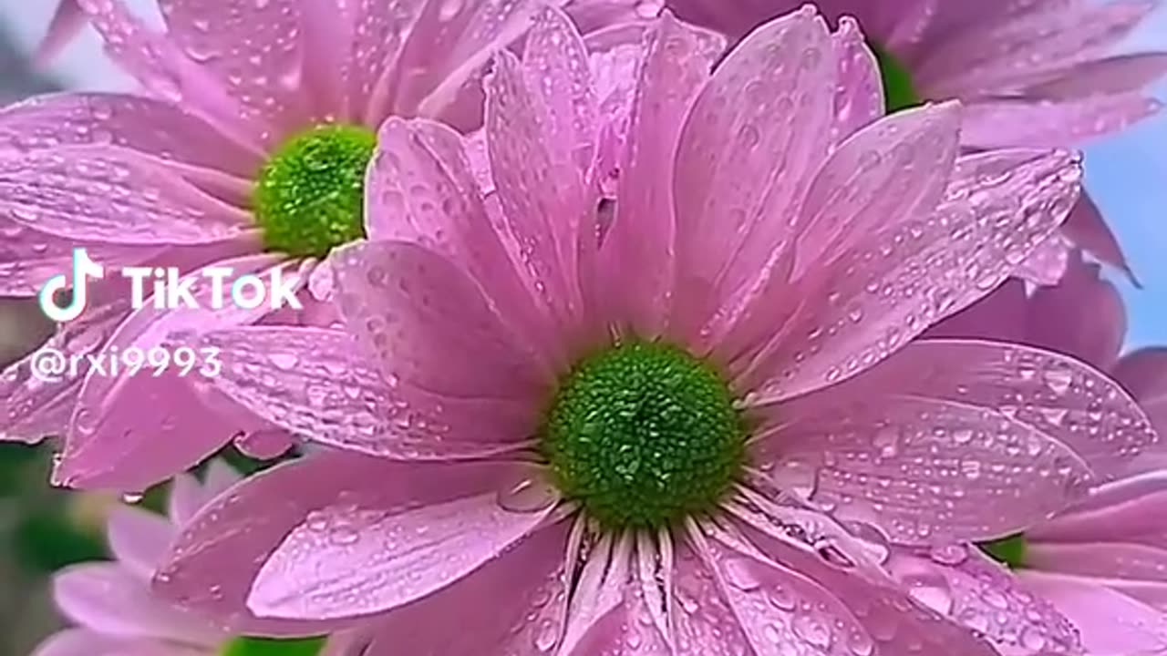 Beautiful nature
