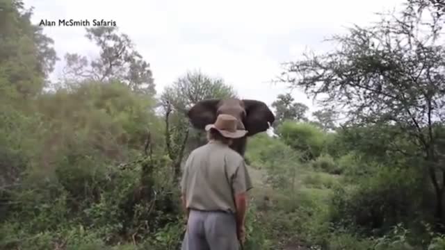 Scary 😱 animal attack
