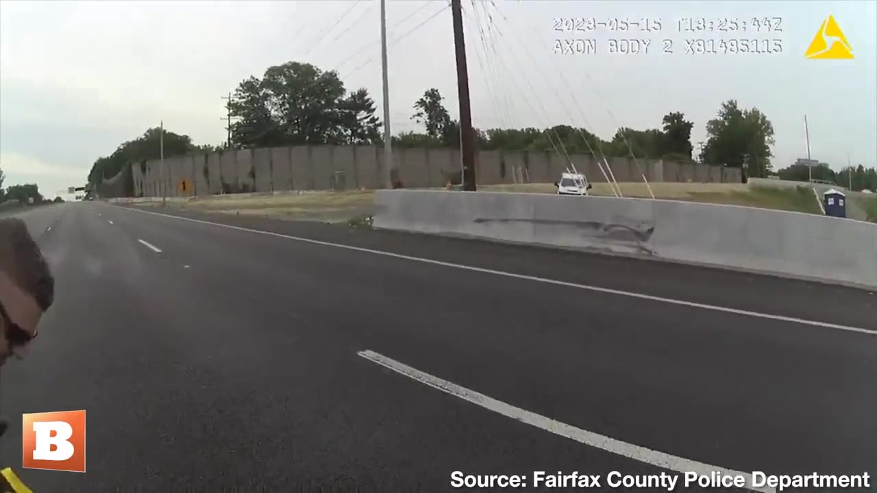 A police officer guided a group of ducklings off I-66 in Virginia on May 15, as shown