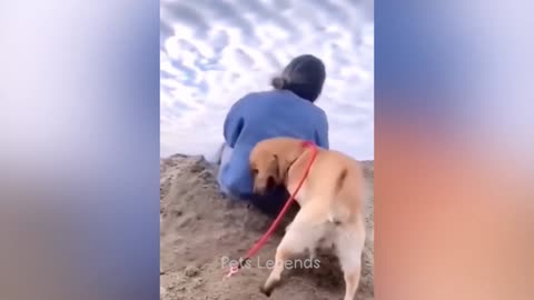Funny cat moments 😂