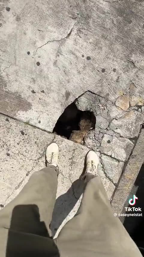 THIS GIVES ME 3rd WORLD COUNTRY VIBES... Middle of NEW YORK !