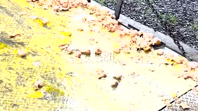 Aftermath of Delivery Drivers Destroyed Eggs