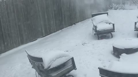 Rude Neighbor Sends Snow Over Fence