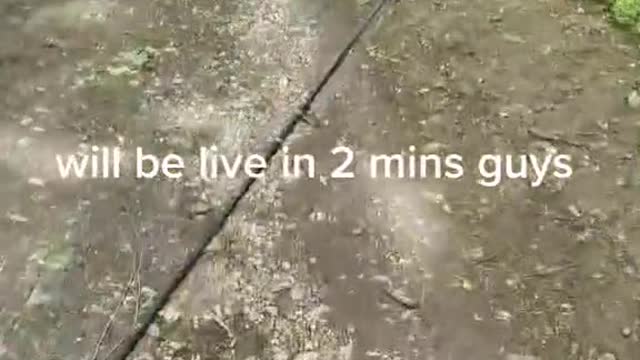 quick trout session guys jump in and lets crank some fish