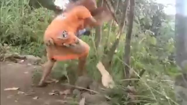 Tahan tawa 🤣🤣🤣🤣