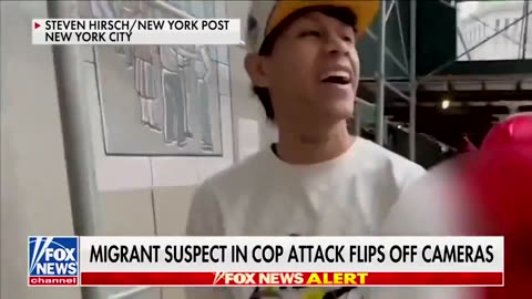 INSANITY: 7 Illegal Immigrants Have Been Arrested After Attacking 2 NYPD Officers