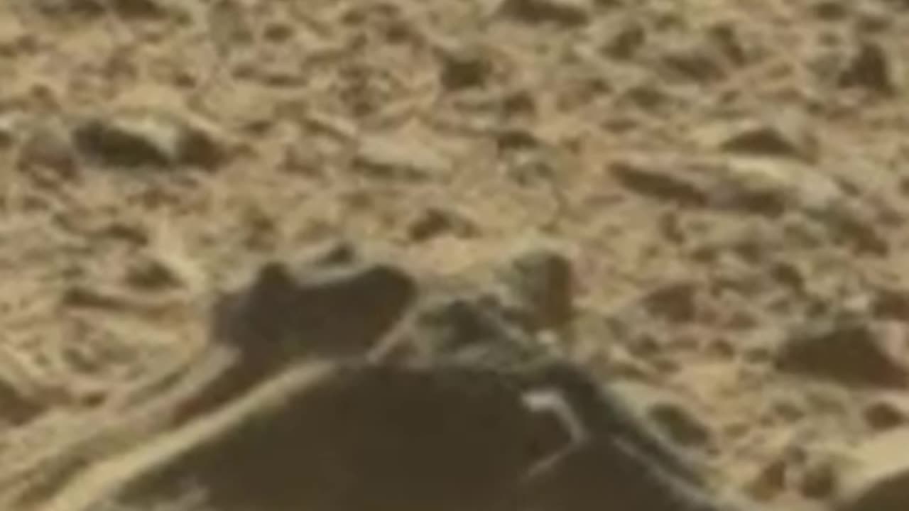 Secrets of Mars Episode 24