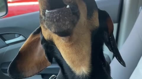 Dexter singing Whitney Houston song