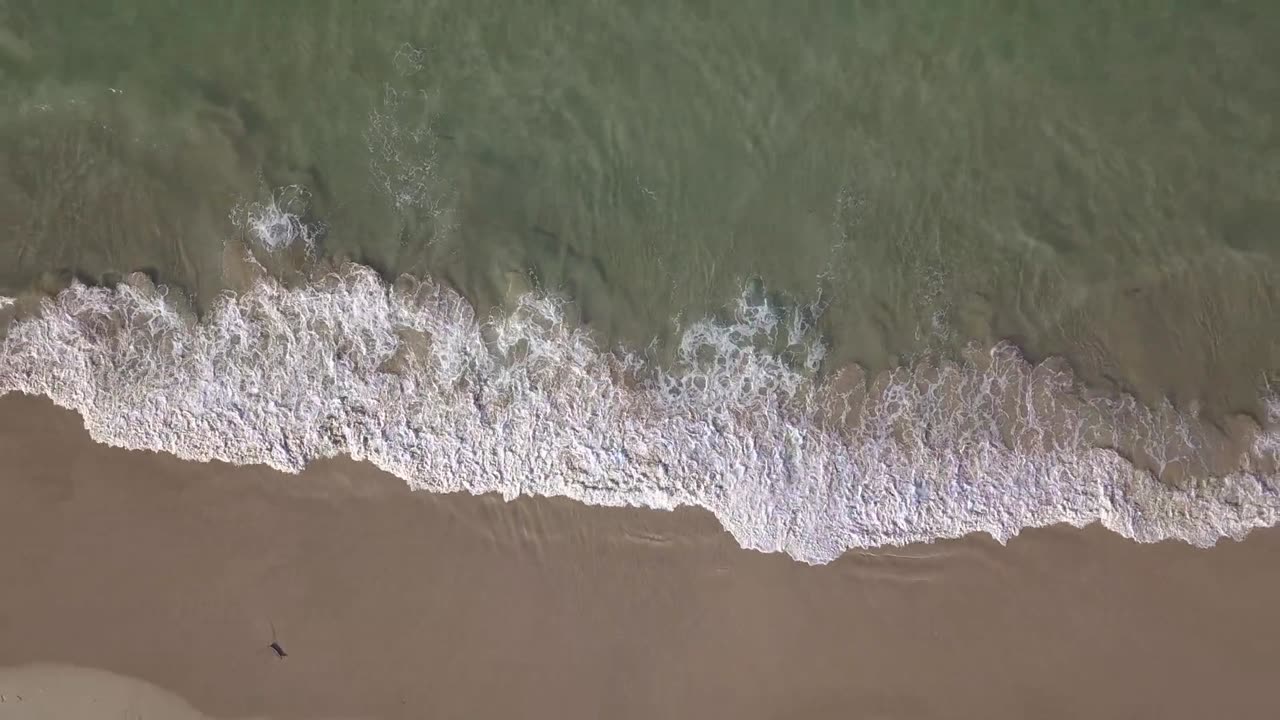 Waves and the Seashore