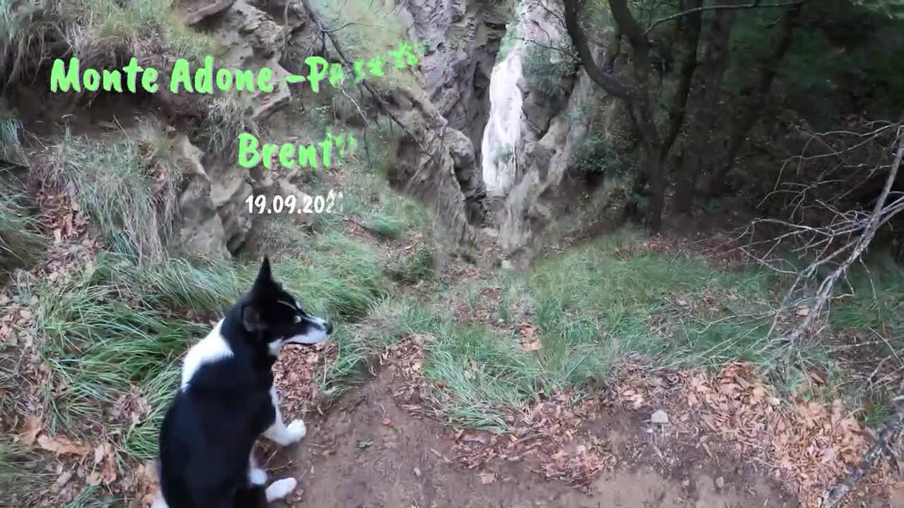 Brento ❁ Monte Adone ❁ ItalienItaly ❁ enjoy nature ❁ Nature Scenery 4kDeep Garden