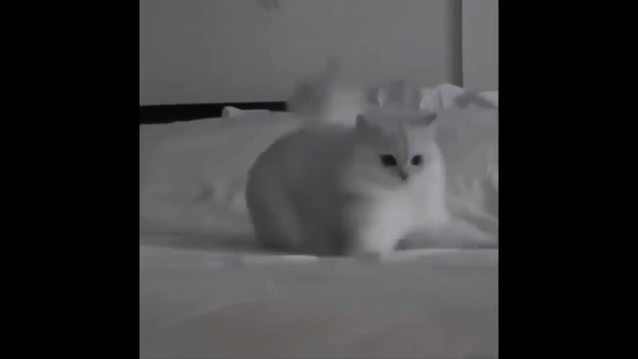 When you lose your phone