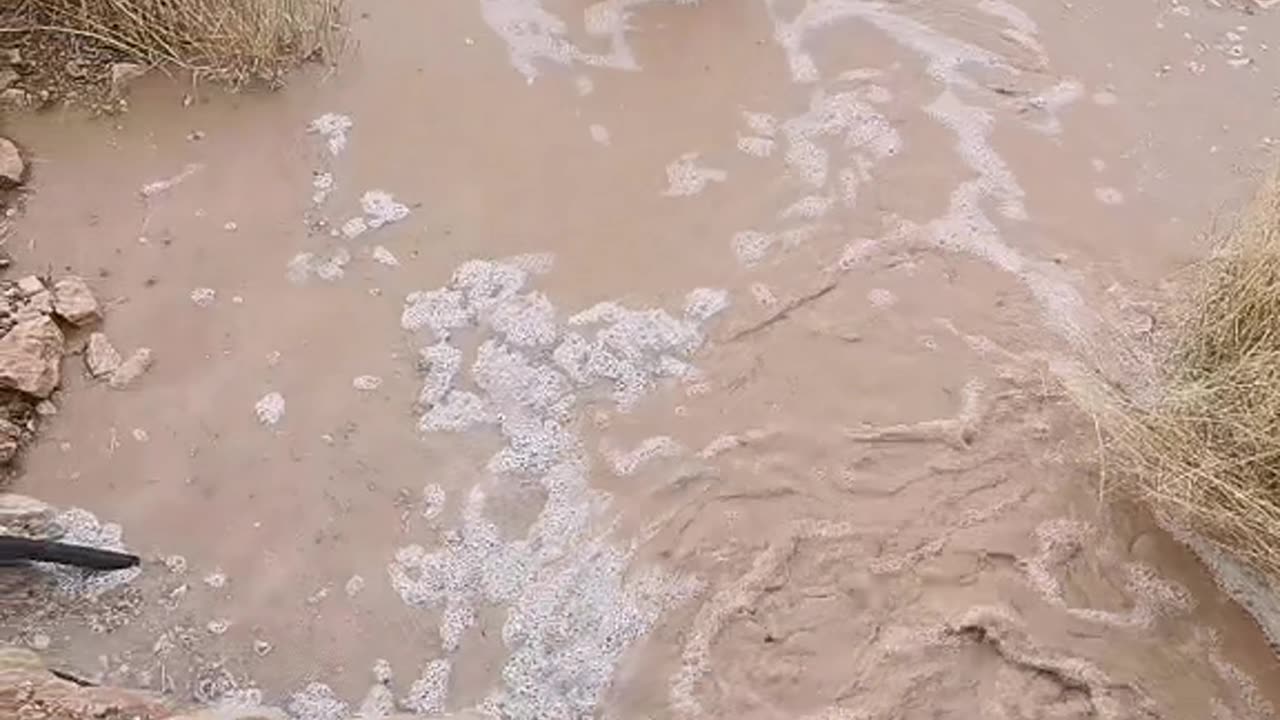 rain in farm