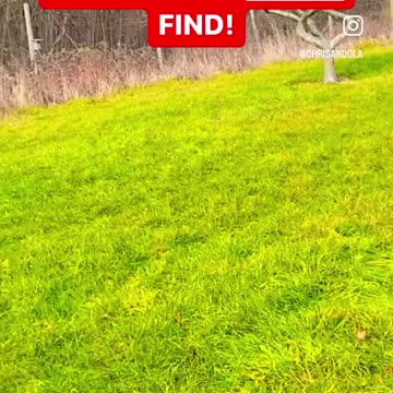 ONLY THE BONES REMAIN