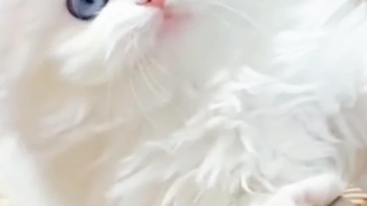 Can I be your little baby