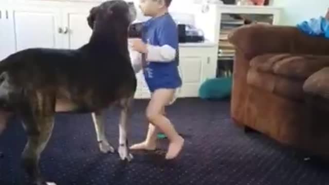 Dogs and kids