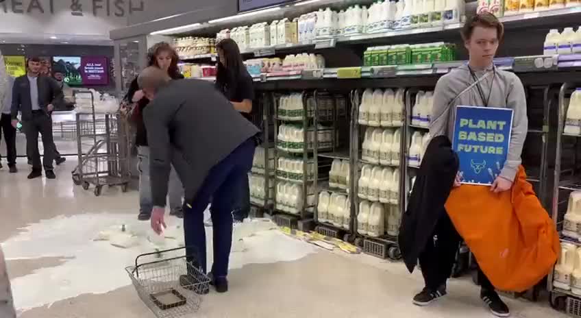 Scottish Environmentalists Dump Milk inside Supermarket in Protest of Dairy Industry