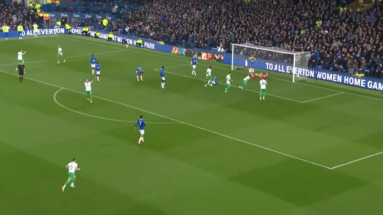 Everton 1-4 Newcastle l priemer legue