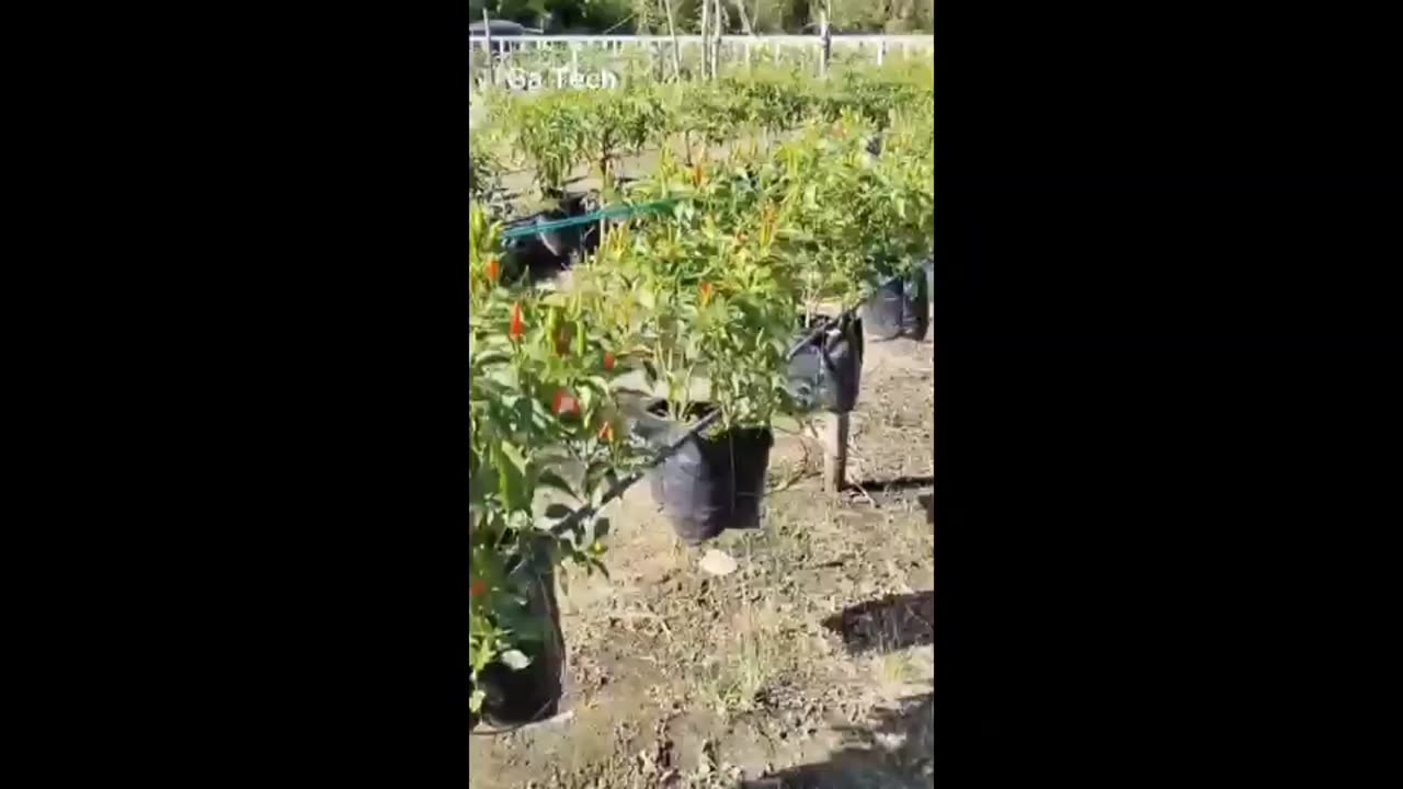 best farm #shots #garden