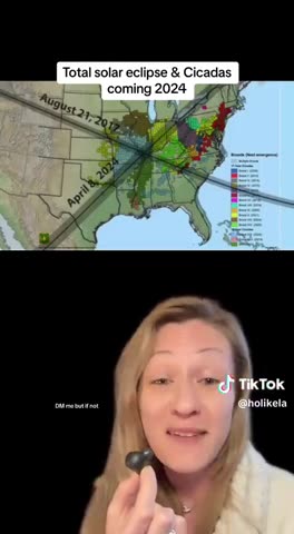 Cicadas & The Eclipse