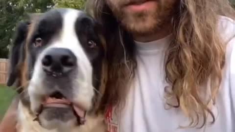 Latest Dog training #shorts #dogtraining #dogs