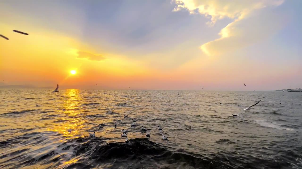 Go see the sea that can heal everything