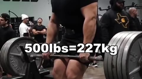 Bent Over Rows 101 Gym or Home (585lbs) 👀💎