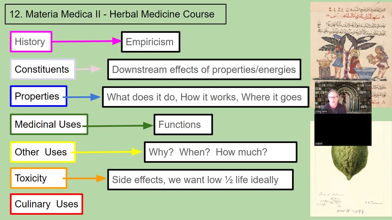 Personal Alkemy Class 13 of 16 - Materia Medica Part 3