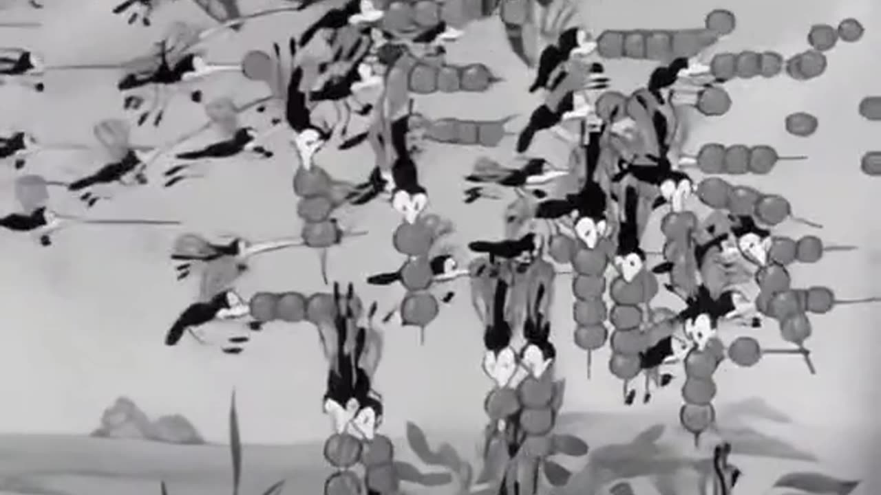 Funny video 20ππππ€£πΊπππ