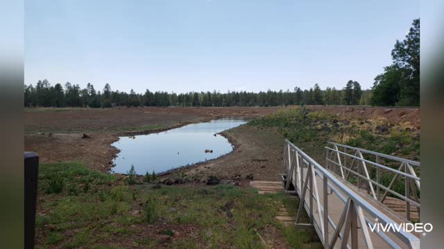 Drive thru Woodland lake, Pinetop AZ