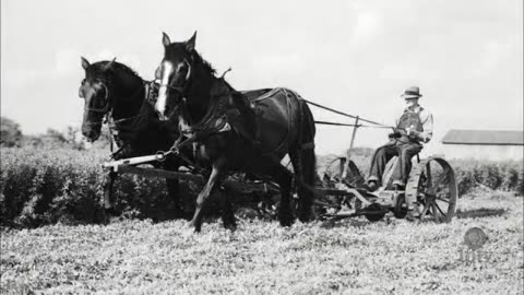 Mechanization on the Farm in the Early 20th Century