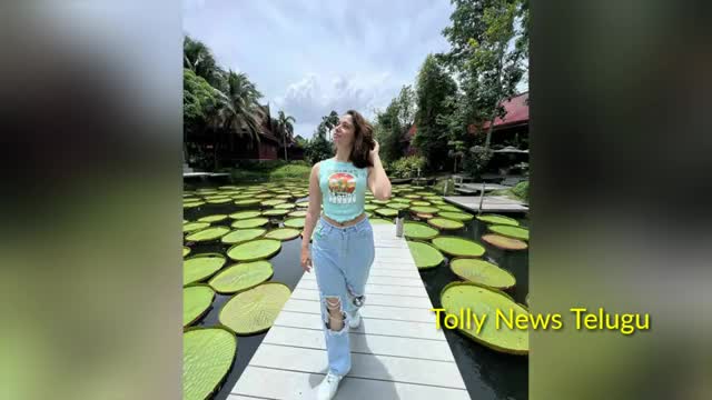 Actress tamanna bhatia latest post goes viral |vijay varma |Tolly News Telugu