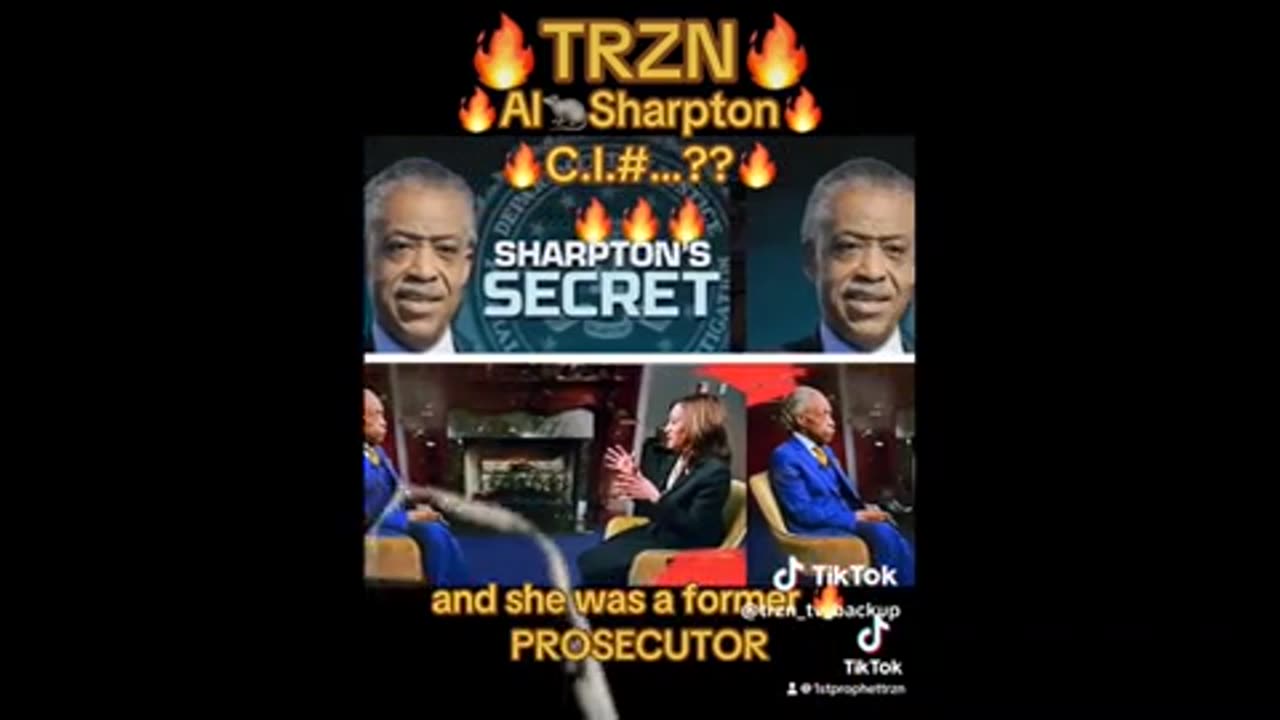 Al Sharpton CIA asset ..