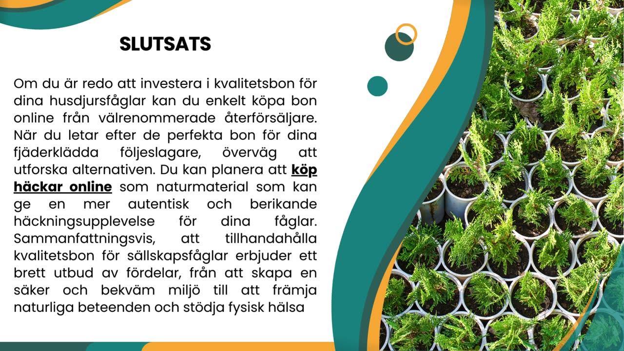 Fördelarna med att tillhandahålla kvalitetsbon för husdjursfåglar