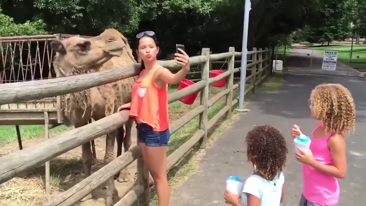 You would not dare to take a selfie with a Camel again after watching this!