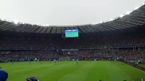 Cruzeiro fans - Brazilian soccer