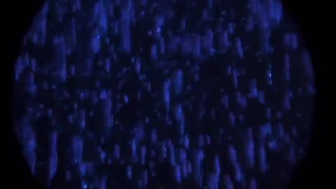 Luciferase (Lucifer’s Race)