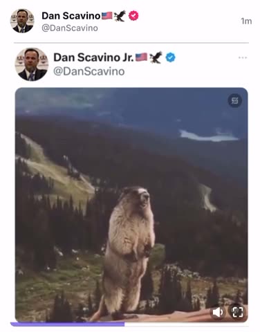 Scavino posting some older tweets | this is by far my fav