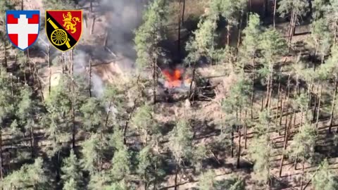 Ukrainian Artillery Destroys Russian Heavy Guns