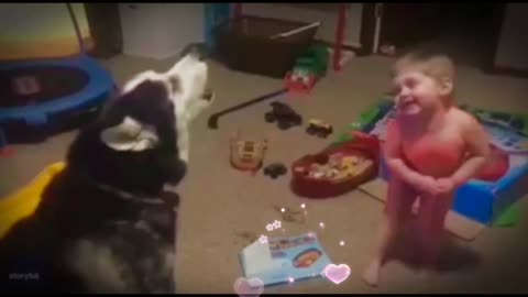 Funny Dog and Lovely Cute Baby