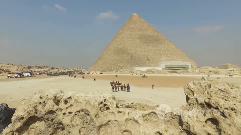 Pharaohs