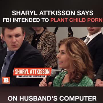 FBI intended to plant child porn on computer.
