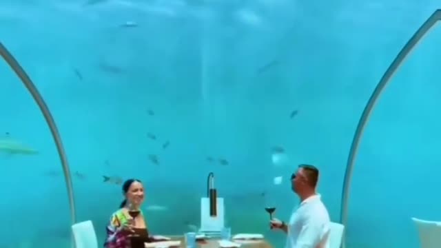 restaurant in the oceanarium😍