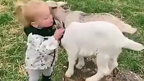 JUST LAUGH BABY CURE#1111