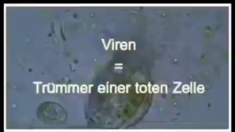 So entstehen "Viren" wirklich.